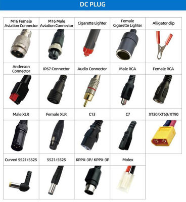 12V 14.4V 14.6V 29.2V 10A phụ kiện pin lithium 4S Lifepo4 Bộ sạc pin